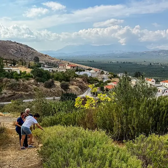 agroktima-asterousia-guests-frontpage